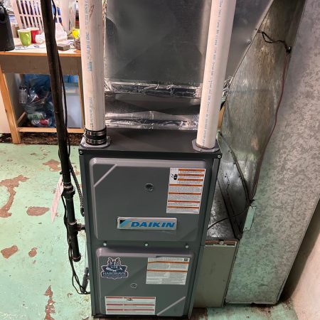 WhatsApp Image 2026-02-21 at 15.12.26