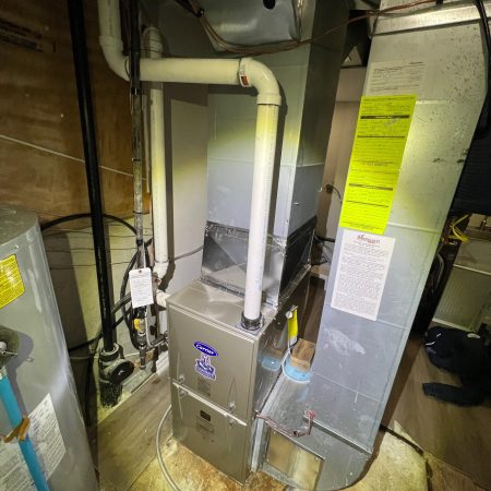 WhatsApp Image 2026-02-21 at 15.15.22