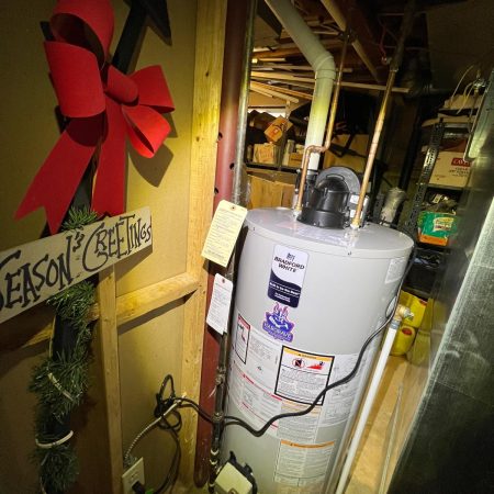 WhatsApp Image 2026-02-21 at 15.15.23